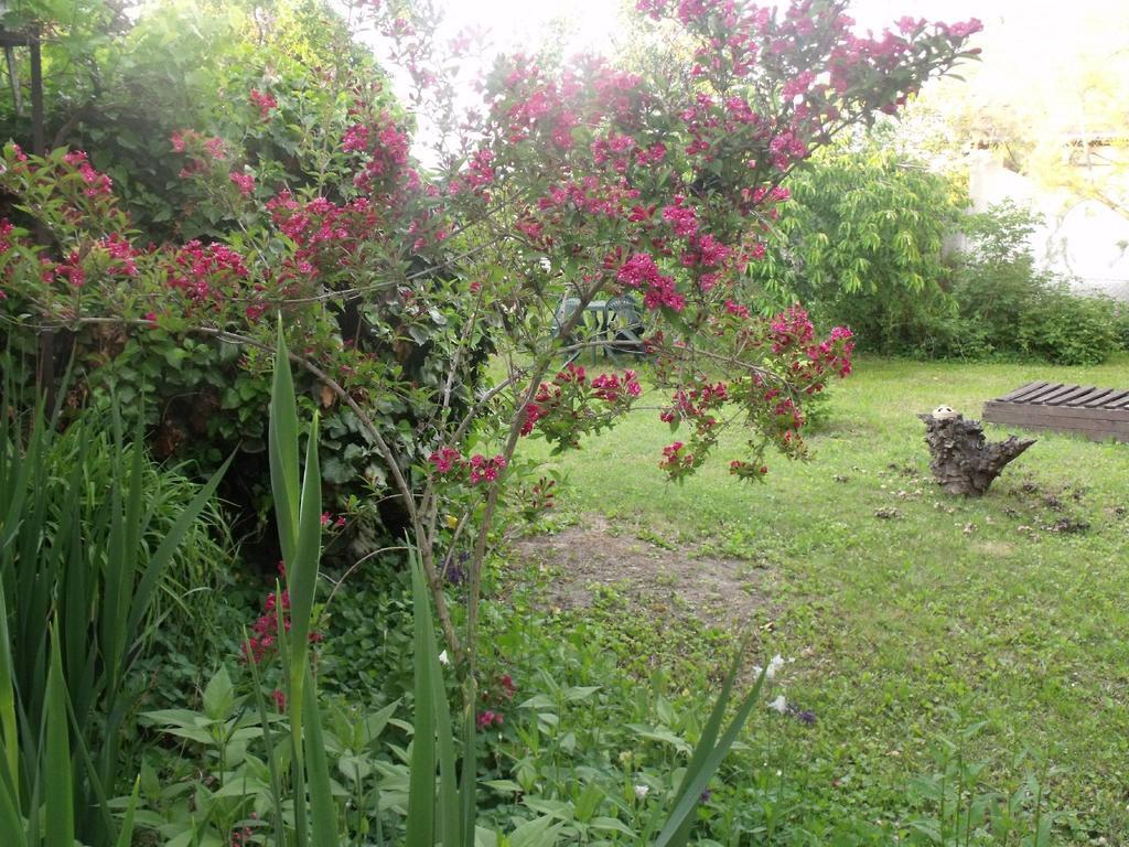 Kerekparos Es Zarandok Vendeghaz Villa Apostag ห้อง รูปภาพ